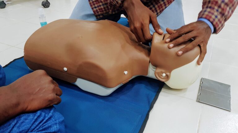 First Aid Training During Past Year (2022)